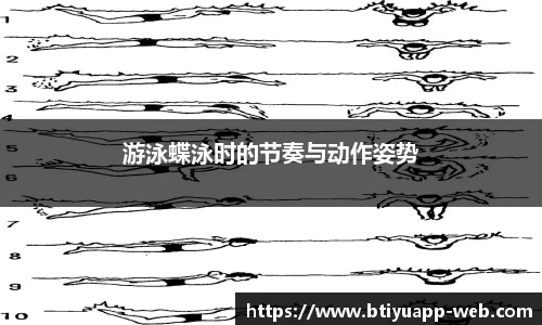 Bsport体育